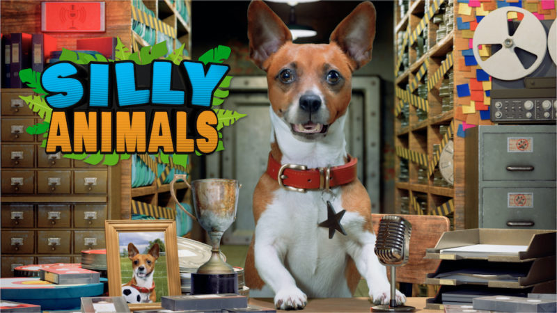 Silly Animals website image